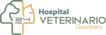 Hospital Veterinario Querétaro